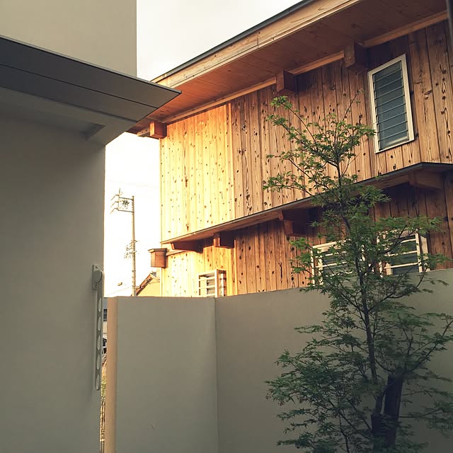 sakuayuさんの実例写真