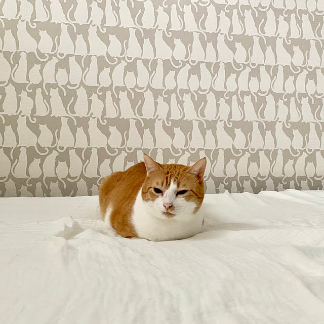 73さんの実例写真