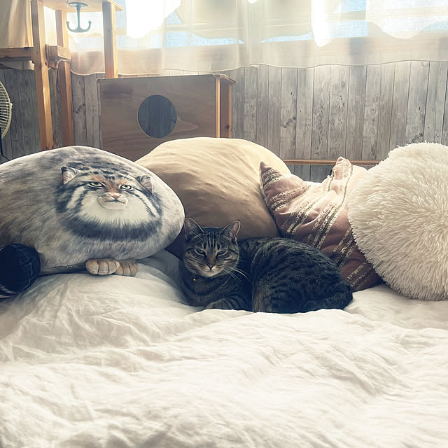 Mさんの実例写真