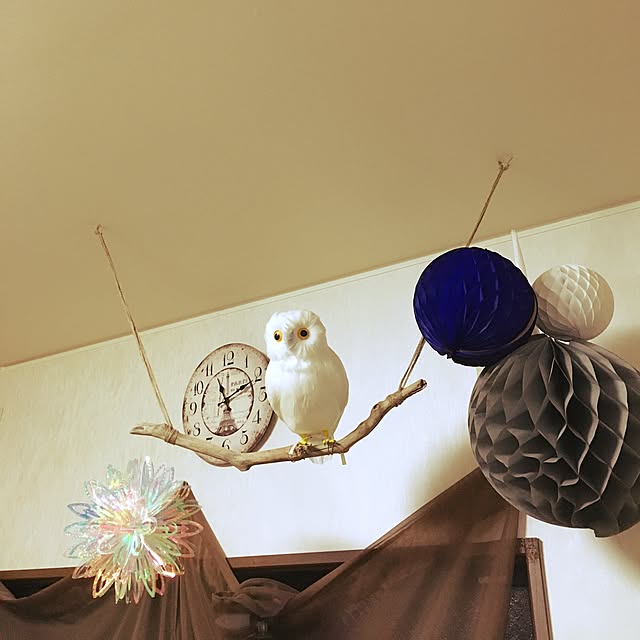 tonさんの実例写真