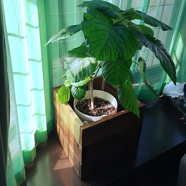 originateさんの実例写真