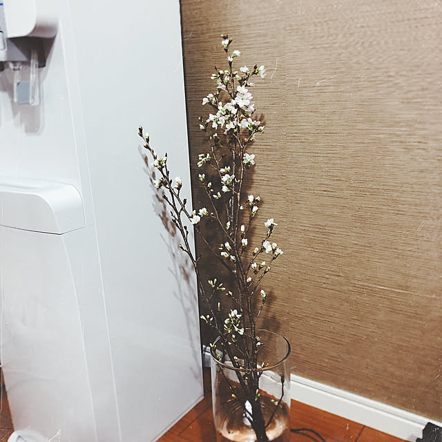 hi.saさんの実例写真