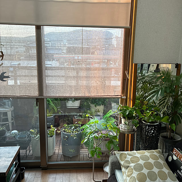 cagosukiさんの実例写真