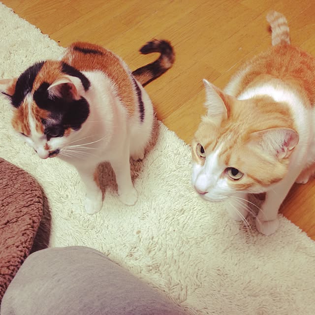 Kinanさんの実例写真