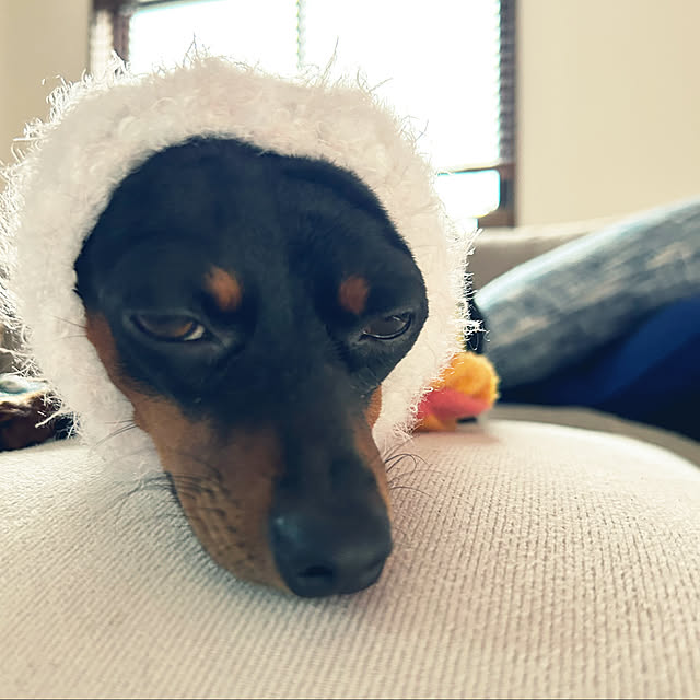 shizuponさんの実例写真