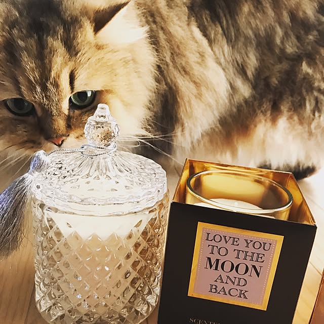 momoさんの実例写真
