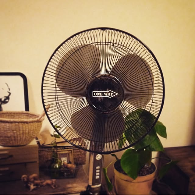 KeicoTAKさんの実例写真