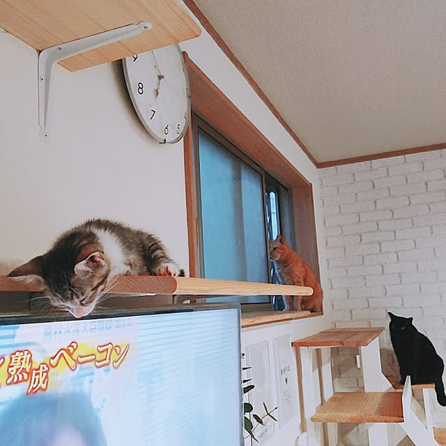 kirakirahikaruさんの実例写真