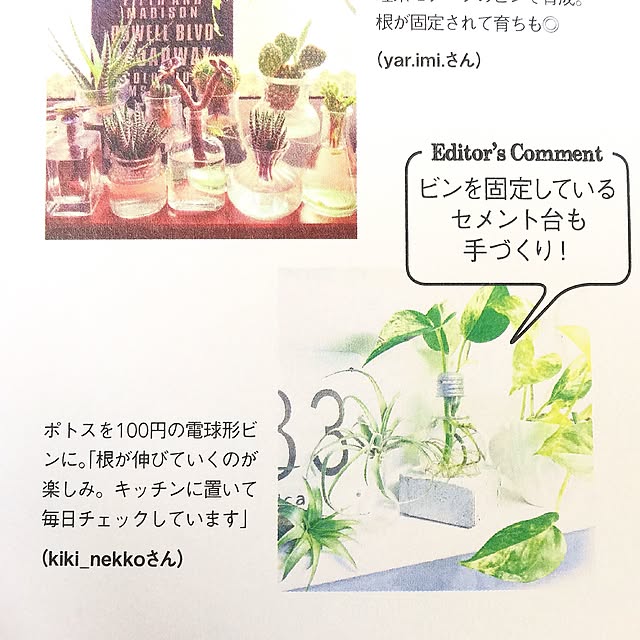 kiki_nekkoさんの実例写真