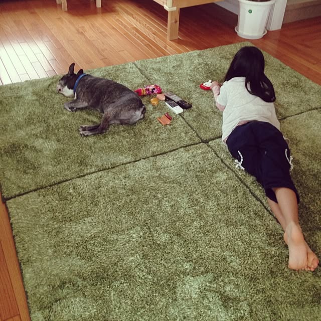 yumiさんの実例写真