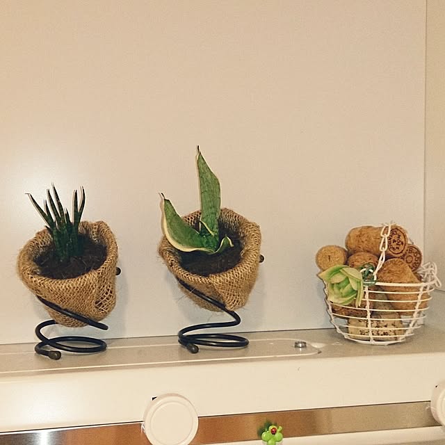 Ko_Yさんの実例写真