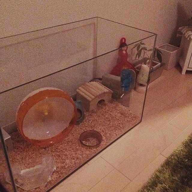 実例写真