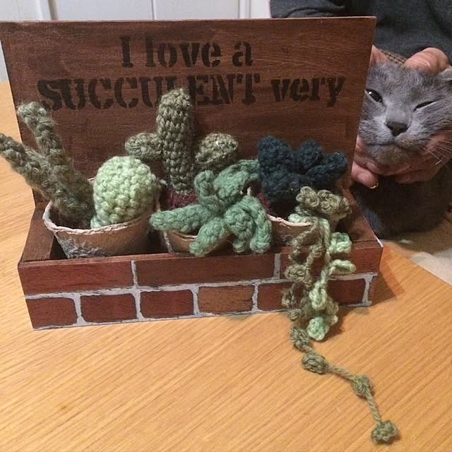 Yumikoさんの実例写真