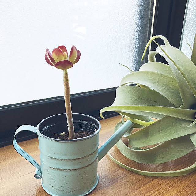 CoffeeHouseさんの実例写真