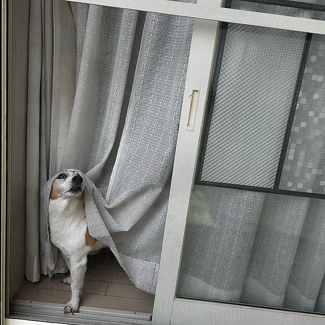 kittyさんの部屋