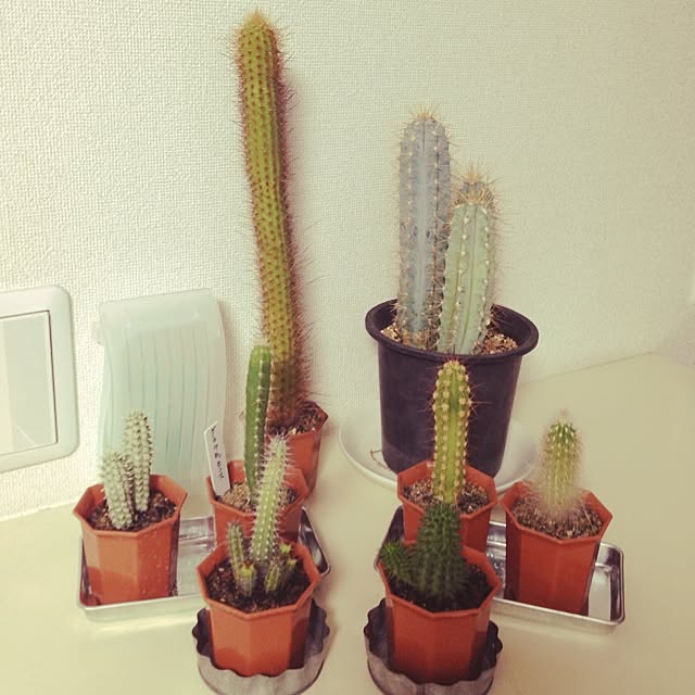 Takeさんの実例写真