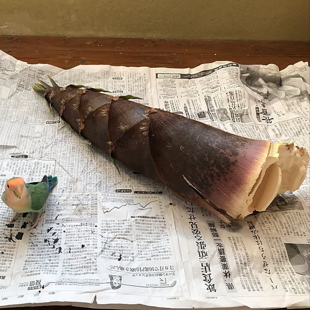 aoinokimiさんの実例写真