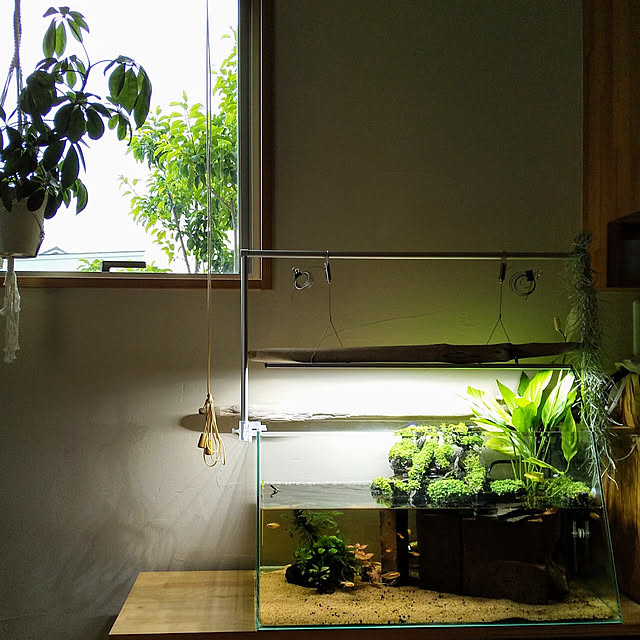 hiroomさんの実例写真