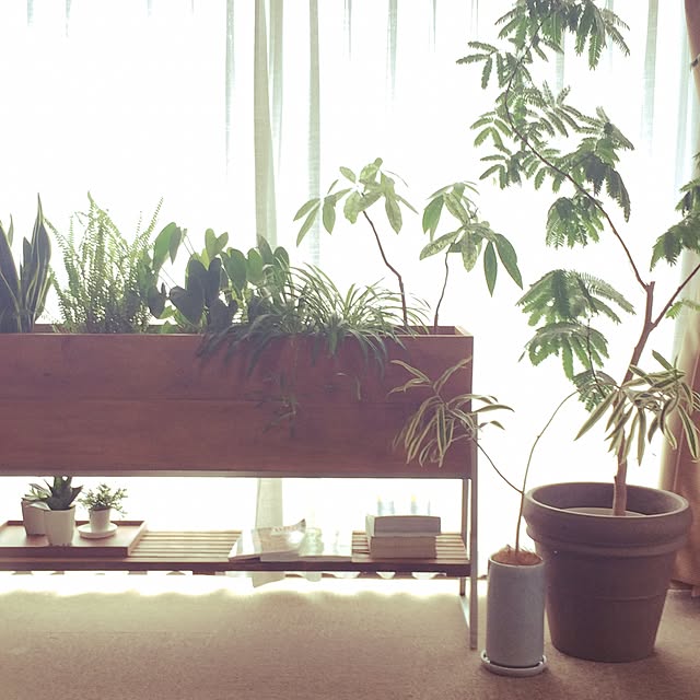 acchanさんの実例写真