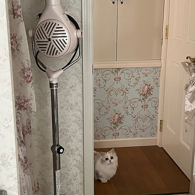 AYUKOさんの部屋