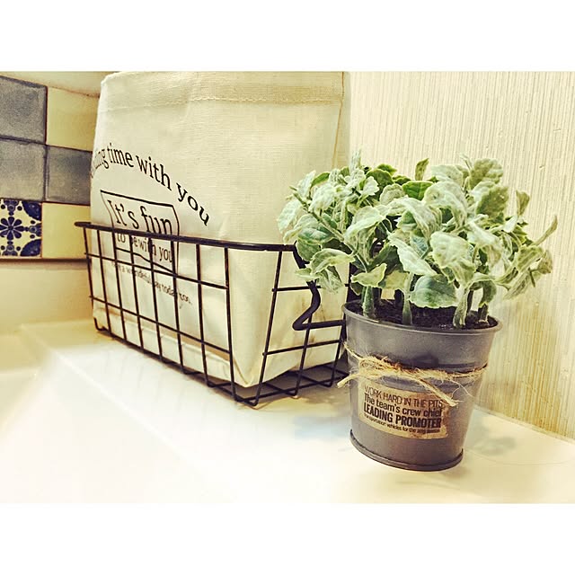 Rans_andy.さんの実例写真