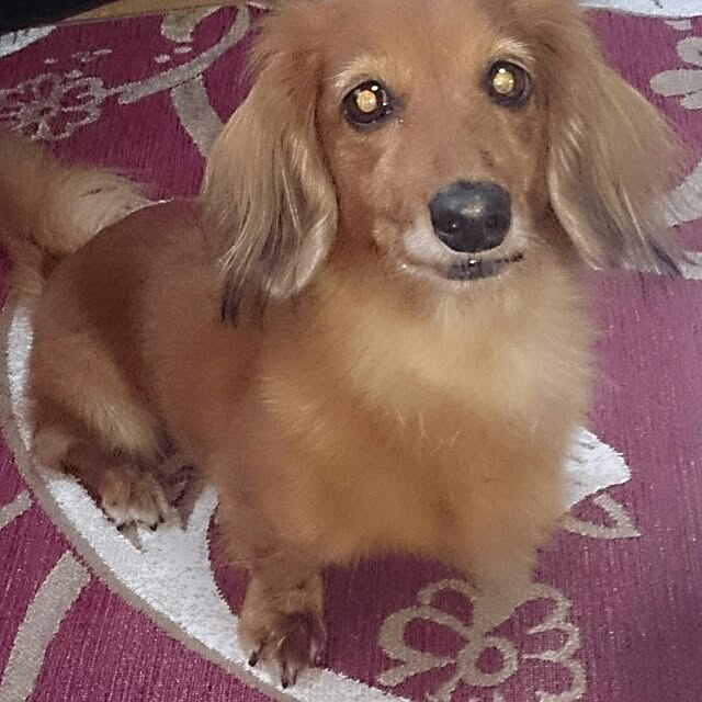 marさんの実例写真
