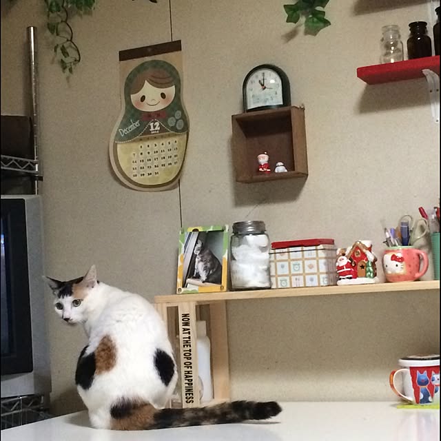 nekonoteさんの実例写真