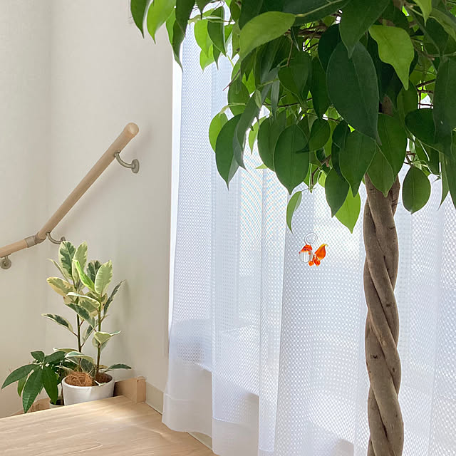 sikiさんの部屋
