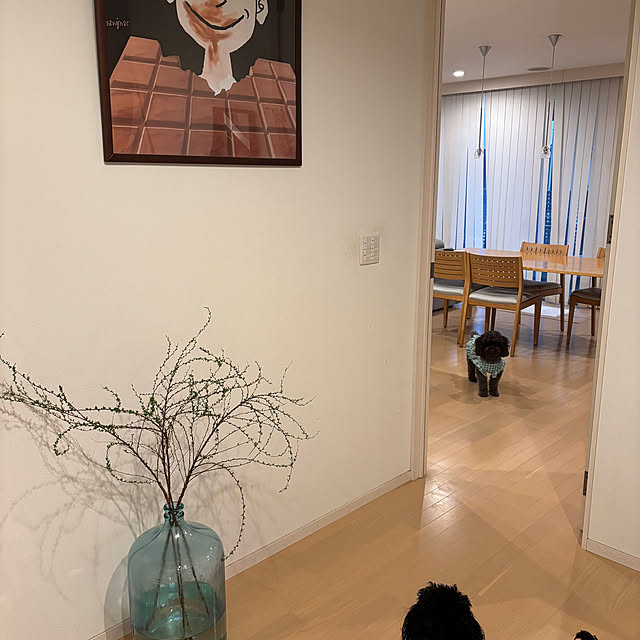 funky_ayankeeさんの部屋