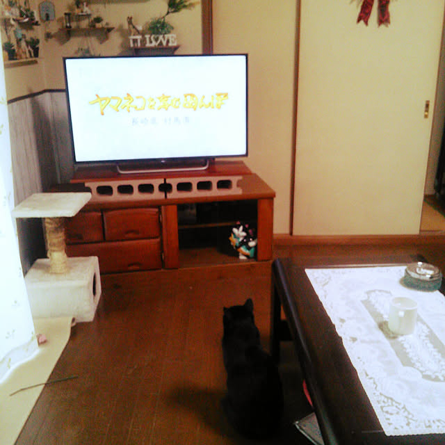 Tomopさんの実例写真