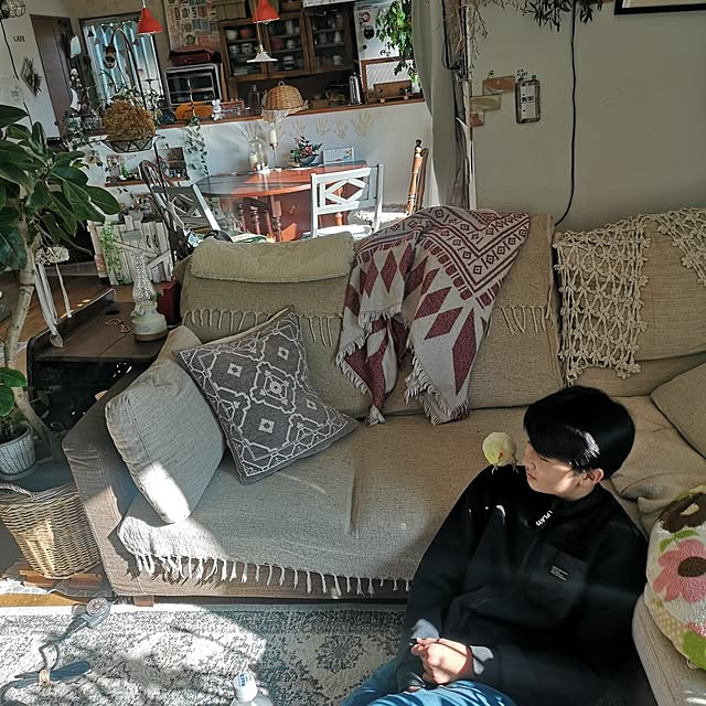 akiさんの実例写真