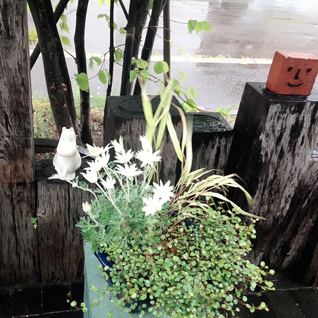 okeiさんの実例写真