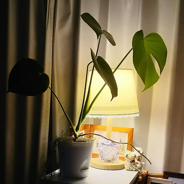 naopyiさんの実例写真
