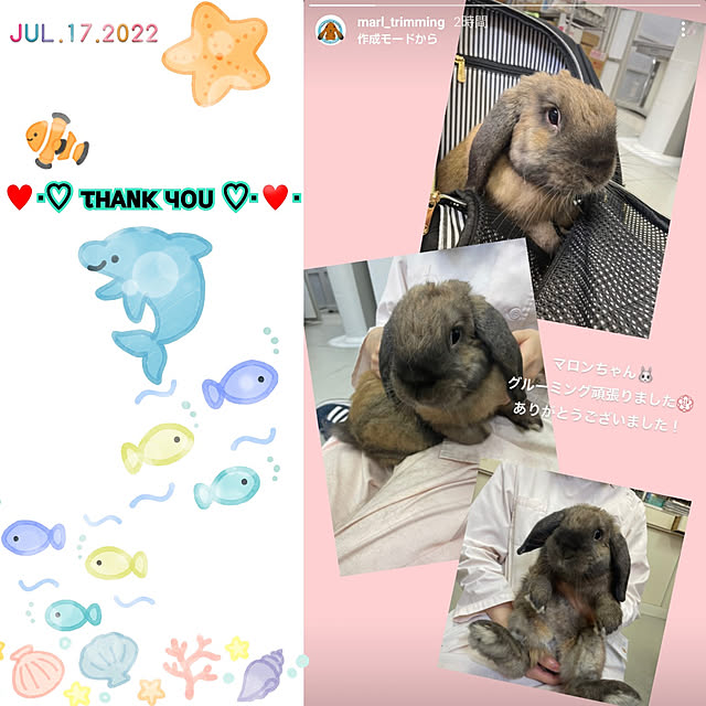 mariaさんの実例写真