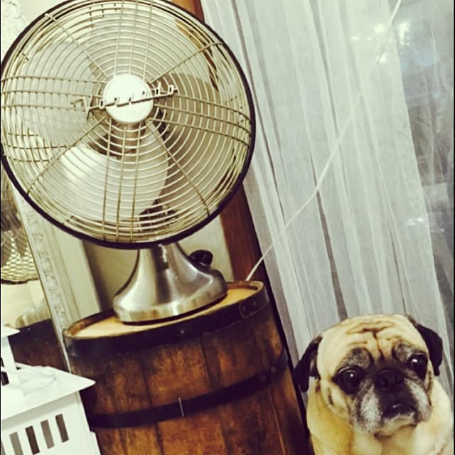 Krisさんの実例写真