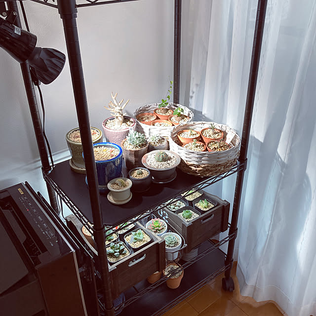 kurokumanekoさんの実例写真