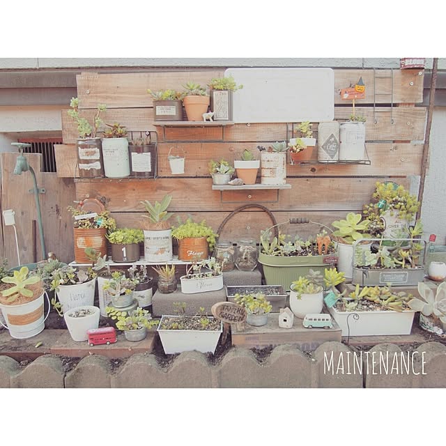 Ryoさんの実例写真