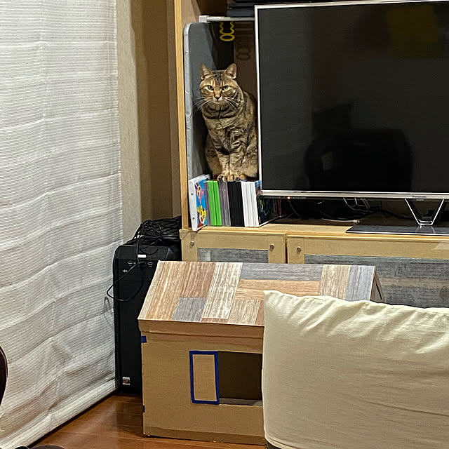 hansho.sさんの実例写真