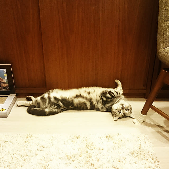 実例写真