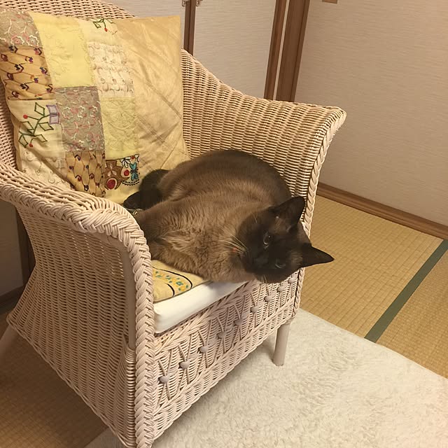 dodoさんの実例写真