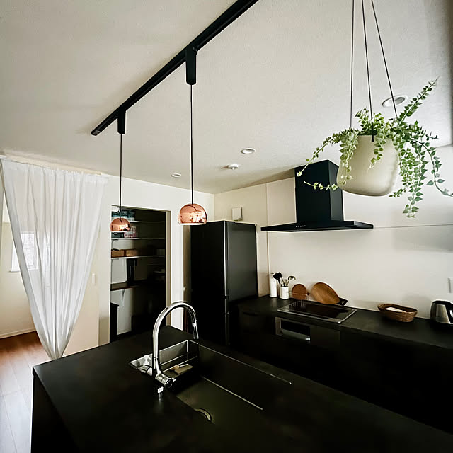 キッチン/IKEA/観葉植物のインテリア実例 - 2024-08-22 17:34:28