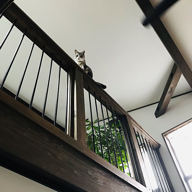 na-sanさんの実例写真