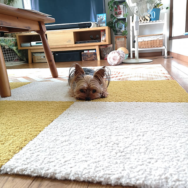 akiさんの実例写真
