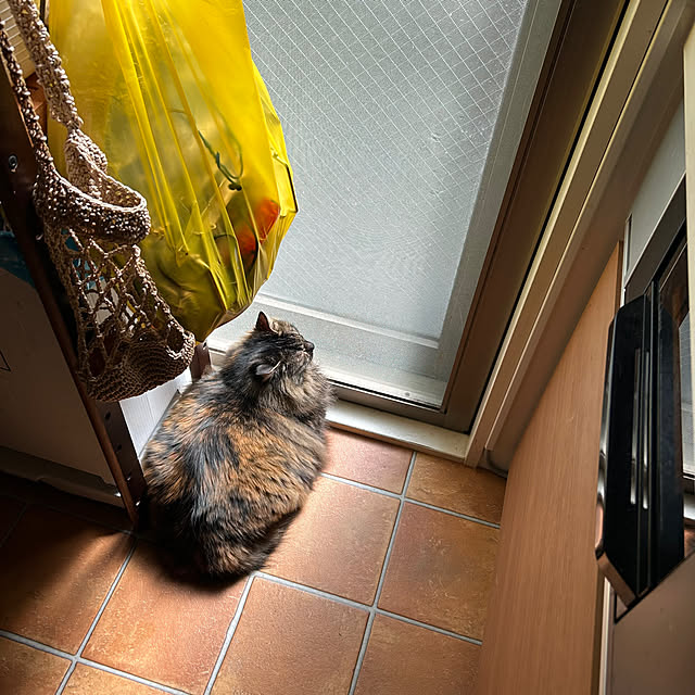 mikomaruさんの実例写真
