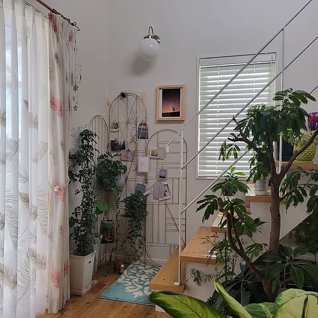 nonbiri_house_さんの部屋
