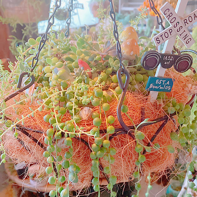 Hanakaさんの実例写真