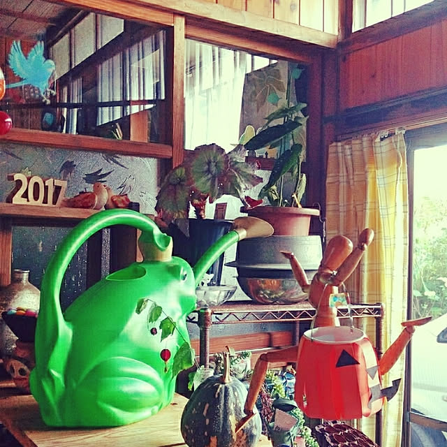 kikuさんの実例写真