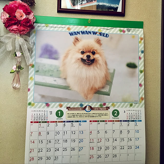 MIYUさんの実例写真