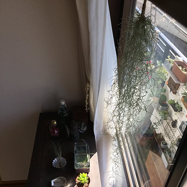 tocotoco.10さんの実例写真