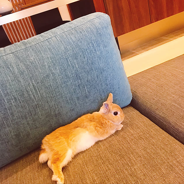 mi33さんの実例写真